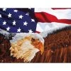 Diamond Dotz Bald Eagle & Flag - Facet Art Kit