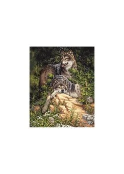 Dimensions Wild Wolves - 16x20 - Paint By Number