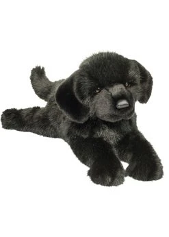 Douglas Jake Black Lab